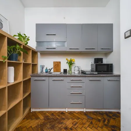 Krasinskiego アパート *